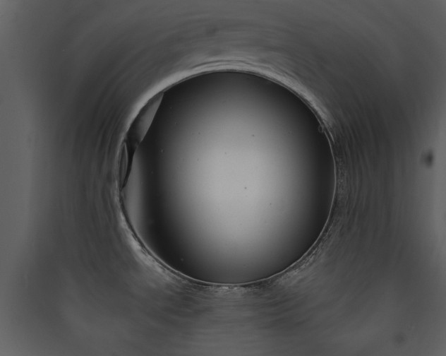 X0000089911534200707131339