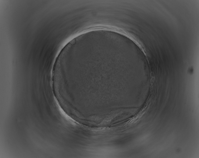 X0000089911535200707131339