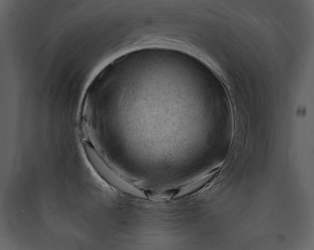 X0000089911536200707131339