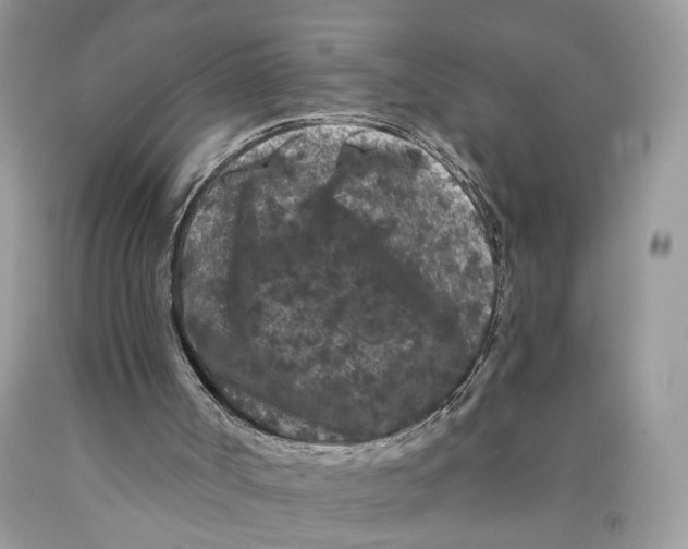 X0000089910002200707201806