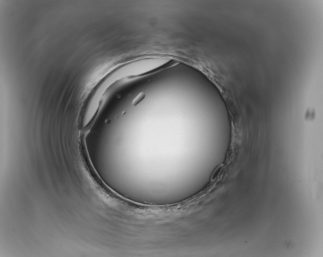 X0000089910005200707201806