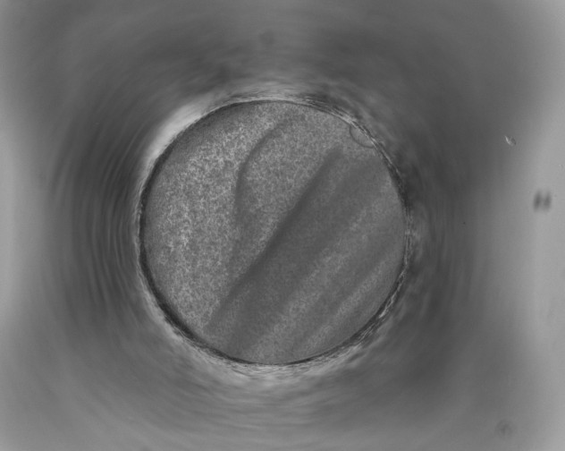 X0000089910006200707201806