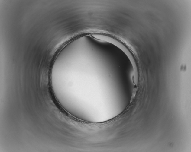 X0000089910015200707201806