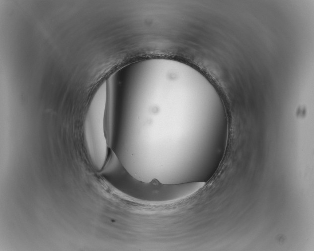 X0000089910017200707201806