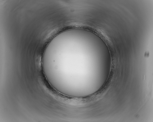 X0000089910024200707201806