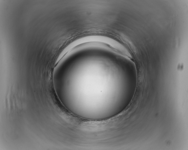 X0000089910025200707201806