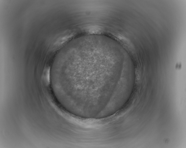 X0000089910028200707201806