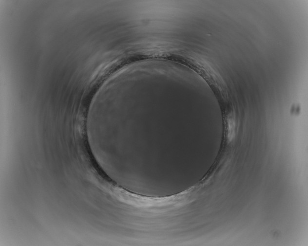 X0000089910035200707201806