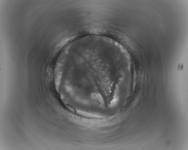 X0000089910043200707201805