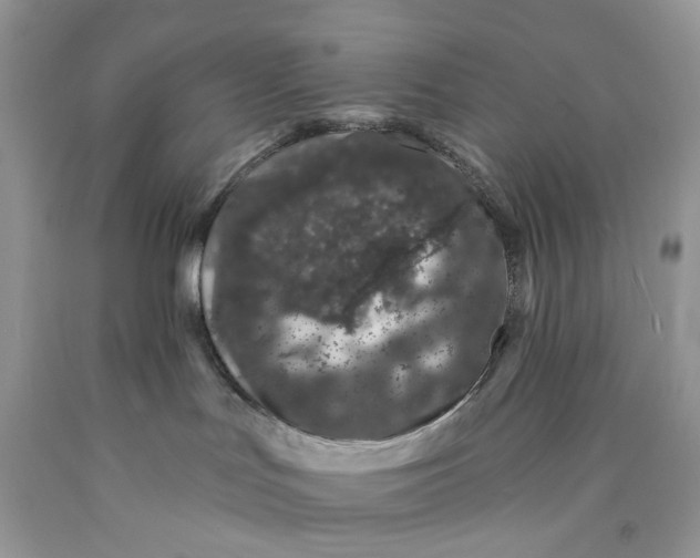 X0000089910047200707201805