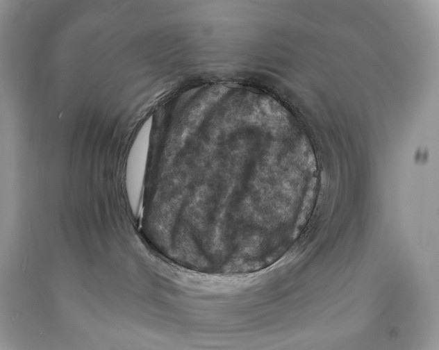 X0000089910048200707201805