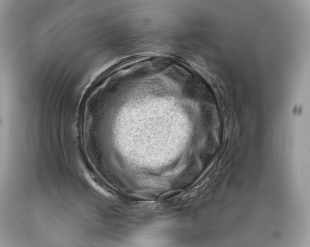 X0000089910050200707201805