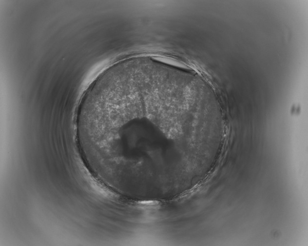 X0000089910053200707201805