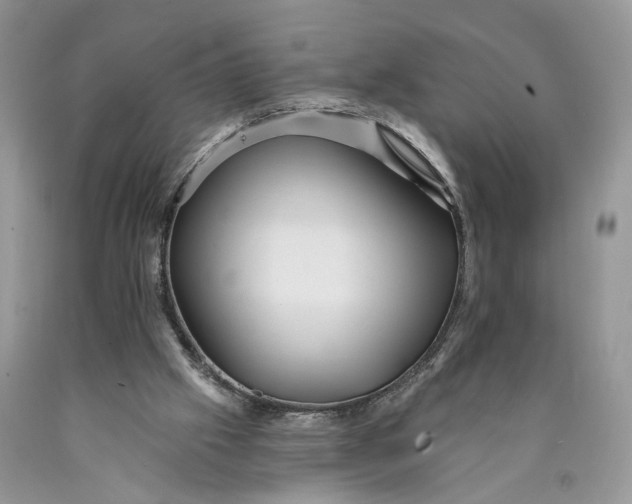 X0000089910057200707201805