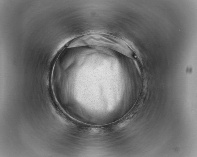 X0000089910060200707201805