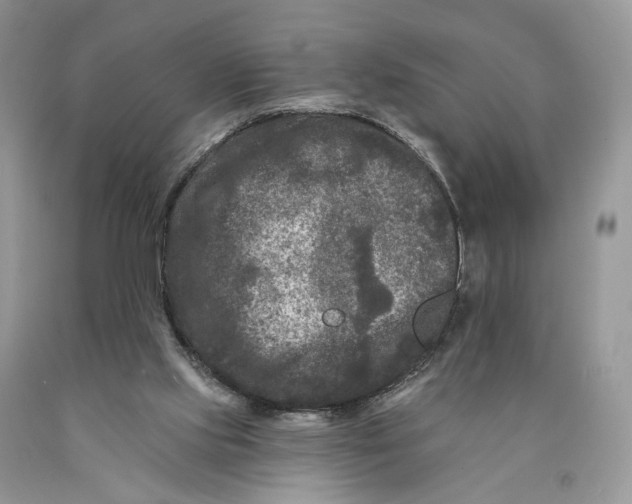 X0000089910061200707201805