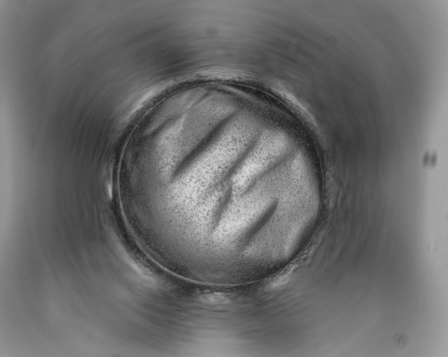 X0000089910062200707201805