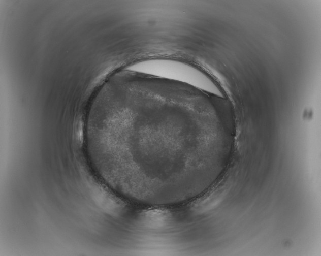 X0000089910067200707201805