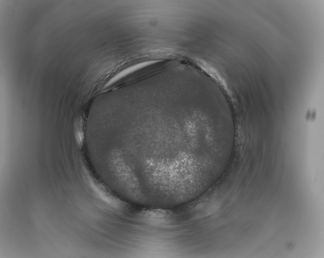 X0000089910069200707201805