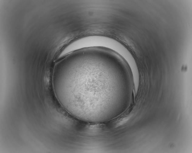 X0000089910072200707201805