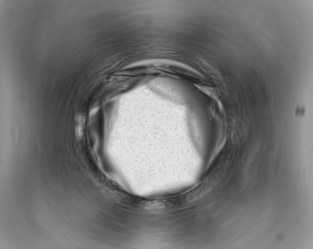 X0000089910075200707201805