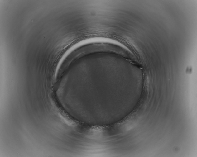 X0000089910076200707201805