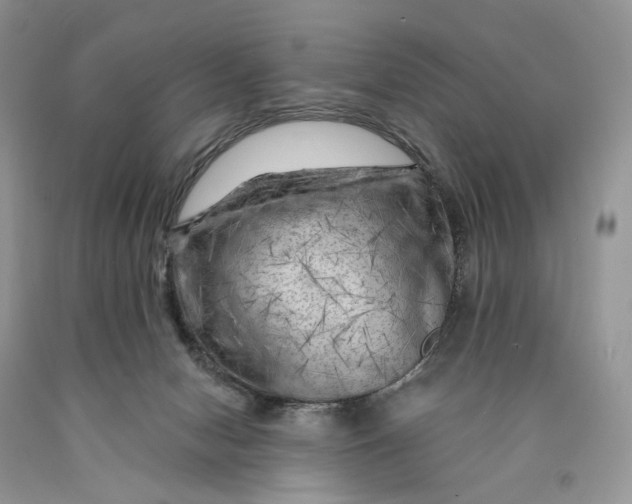 X0000089910078200707201805