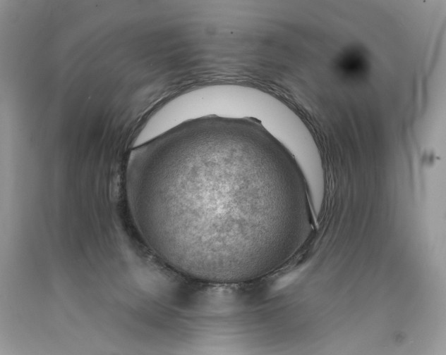 X0000089910080200707201805