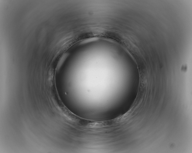 X0000089910082200707201805