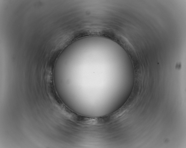 X0000089910083200707201805