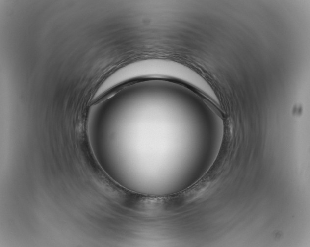 X0000089910084200707201805