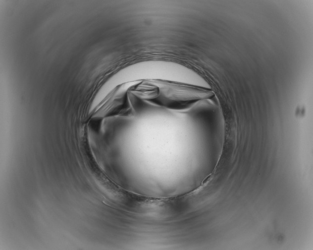 X0000089910086200707201805