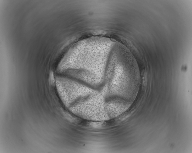 X0000089910089200707201805