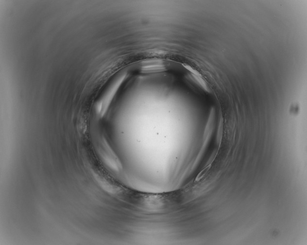 X0000089910091200707201805