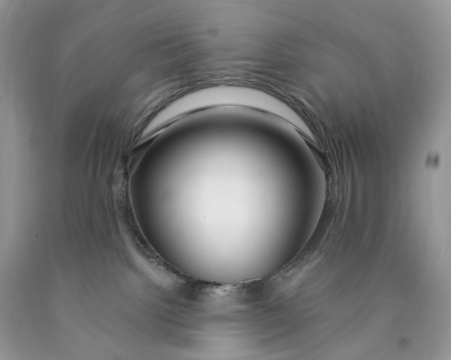 X0000089910092200707201805