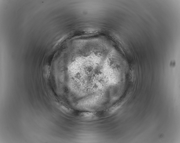 X0000089910093200707201805