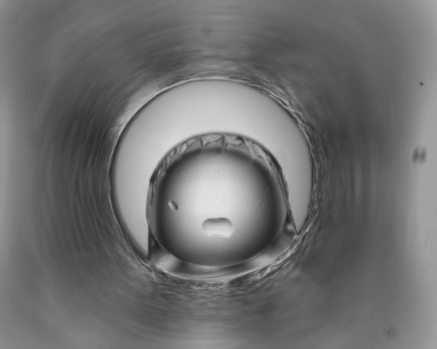 X0000089910099200707201805