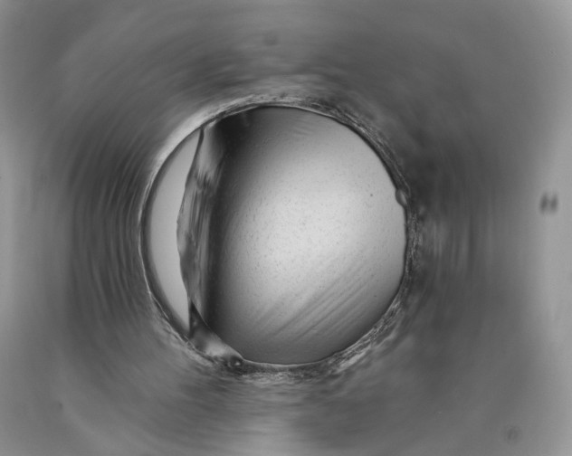 X0000089910100200707201805