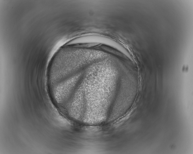 X0000089910102200707201805