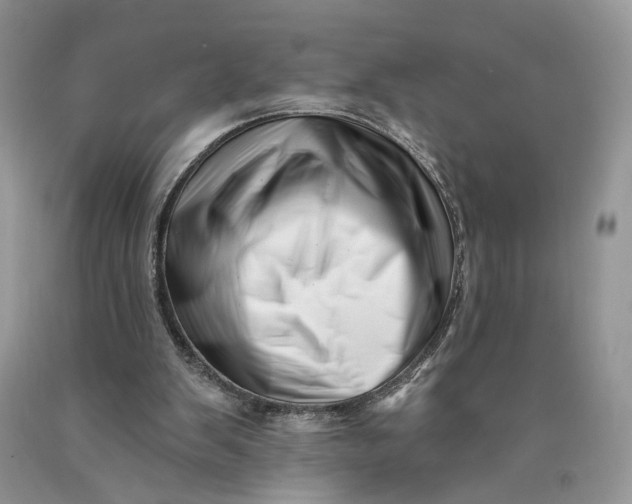 X0000089910103200707201805