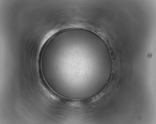 X0000089910104200707201805