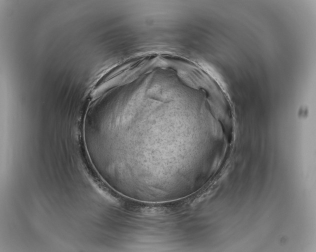 X0000089910105200707201805