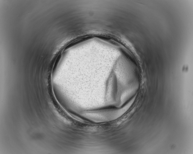 X0000089910106200707201805