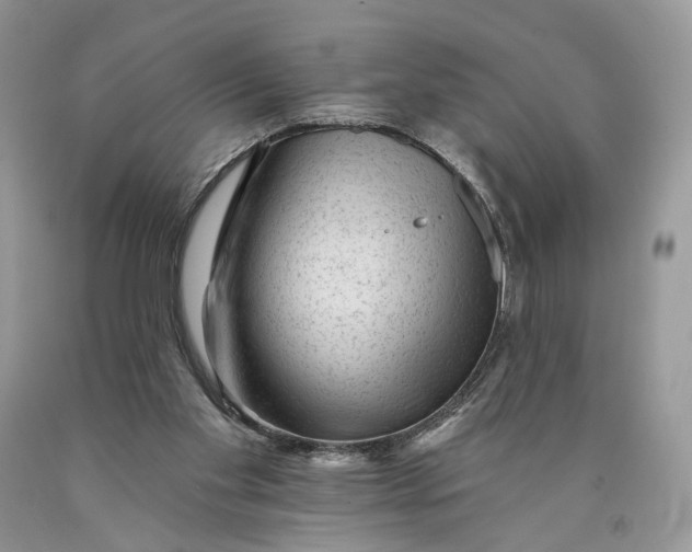 X0000089910109200707201804