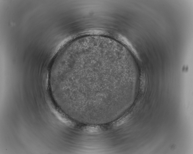 X0000089910110200707201804