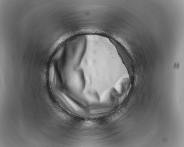 X0000089910111200707201804