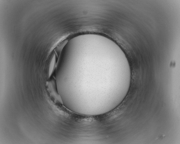 X0000089910112200707201804