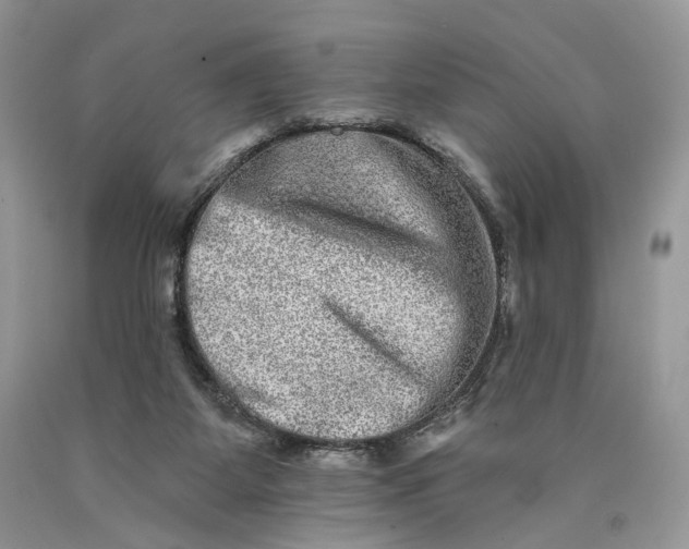 X0000089910115200707201804