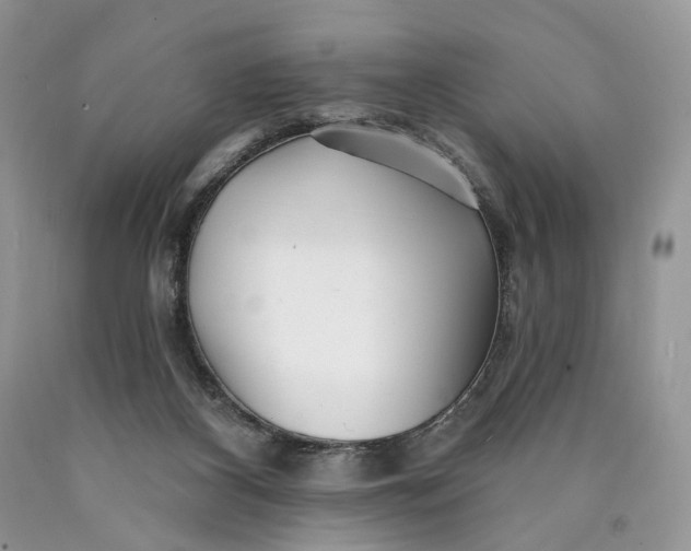 X0000089910116200707201804