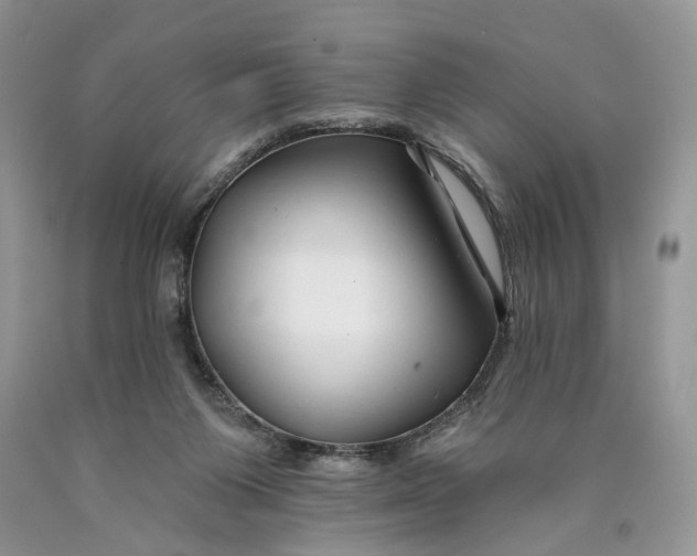 X0000089910119200707201804